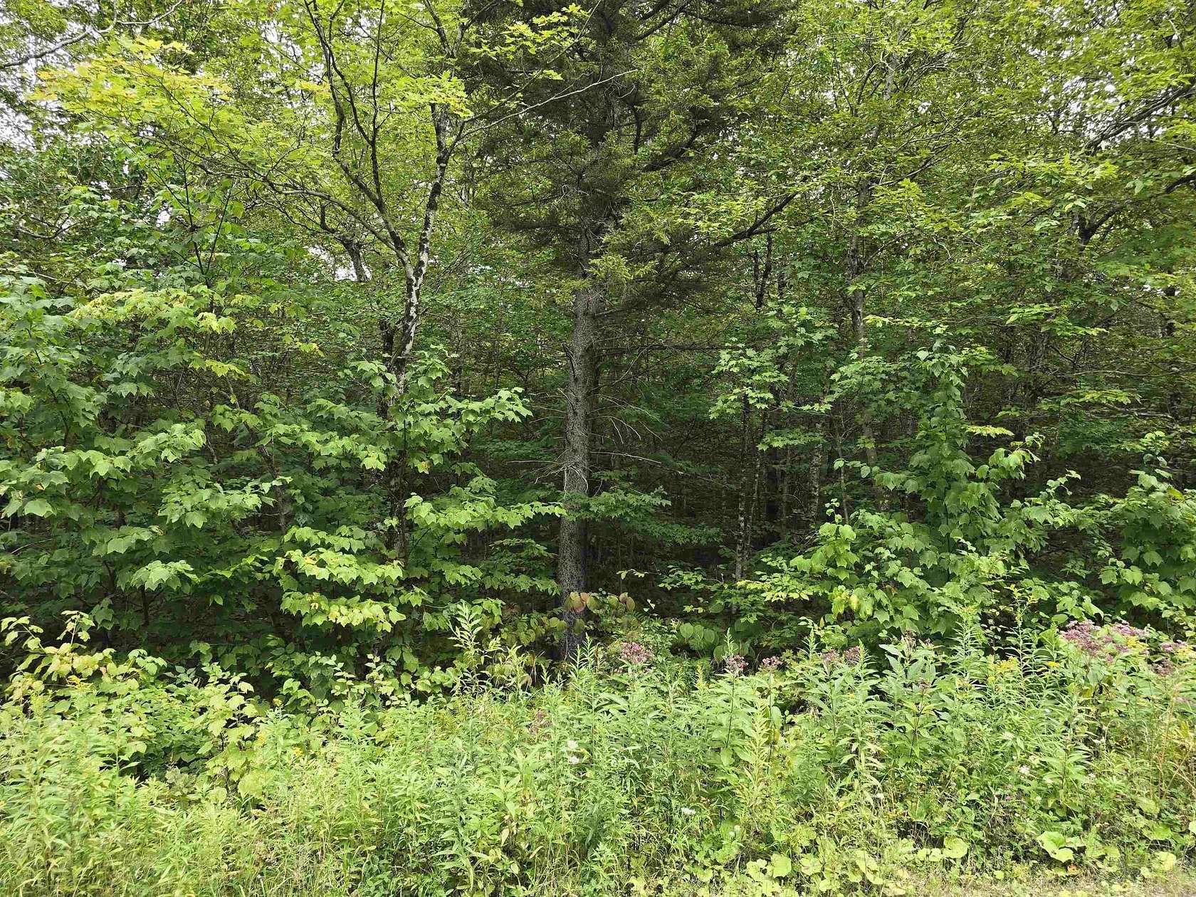 2 Acres of Residential Land for Sale in Stamford, Vermont
