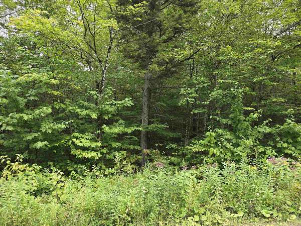 2 Acres of Residential Land for Sale in Stamford, Vermont