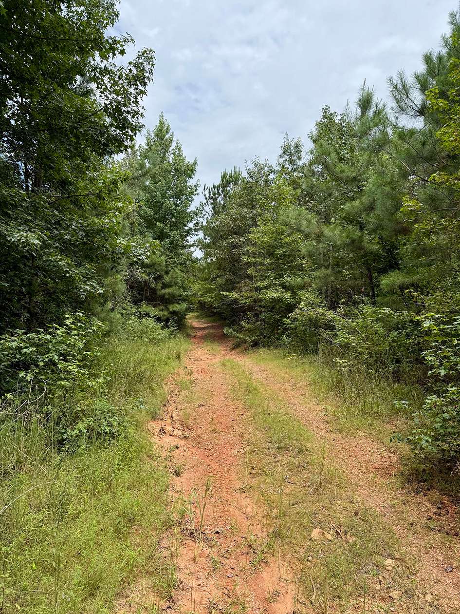 80 Acres of Recreational Land for Sale in Fruithurst, Alabama