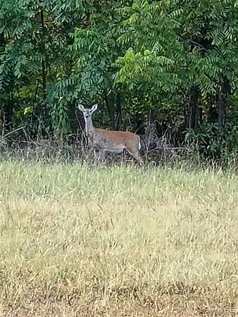 20 Acres of Land with Home for Sale in Festus, Missouri