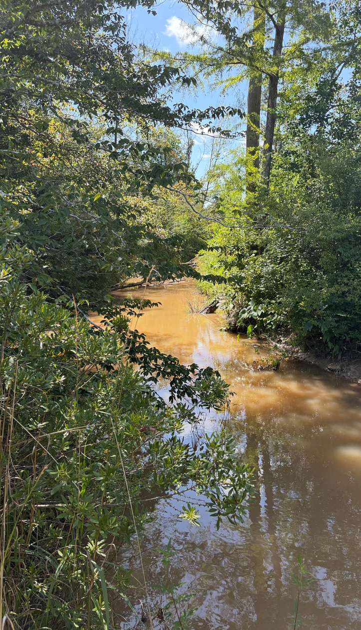 103 Acres of Land for Sale in Toledo, Texas