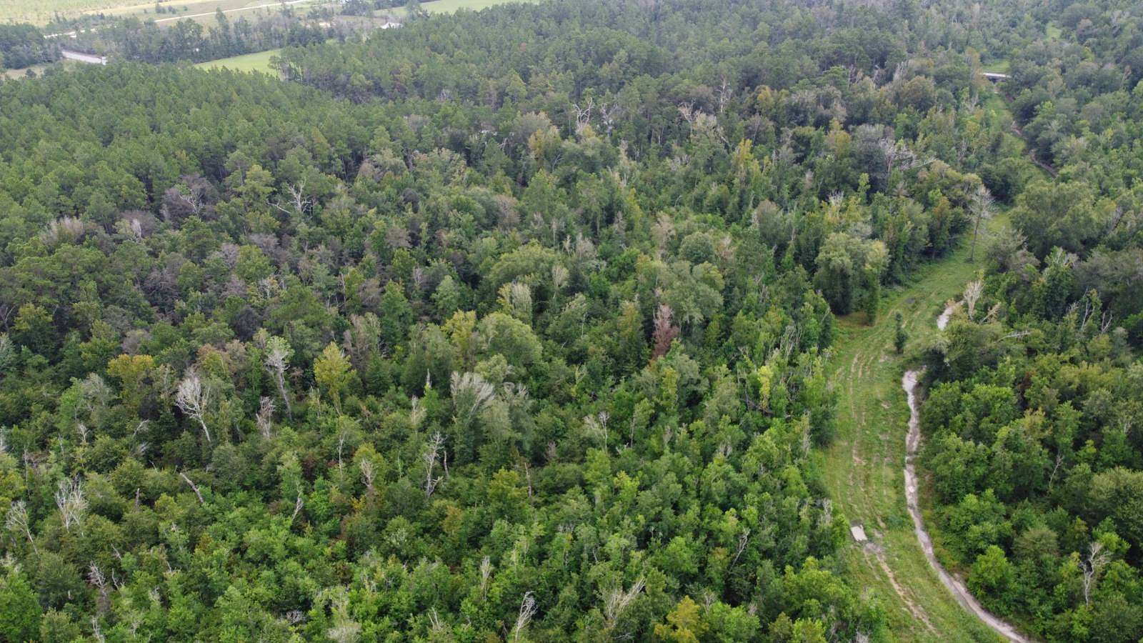 21.6 Acres of Recreational Land & Farm for Sale in DeQuincy, Louisiana
