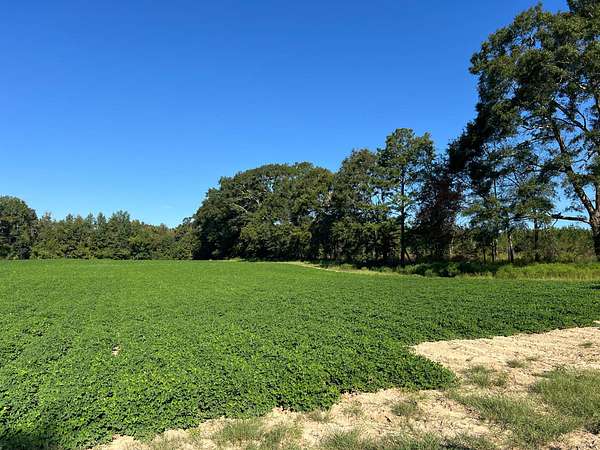 10.5 Acres of Land for Sale in Troy, Alabama