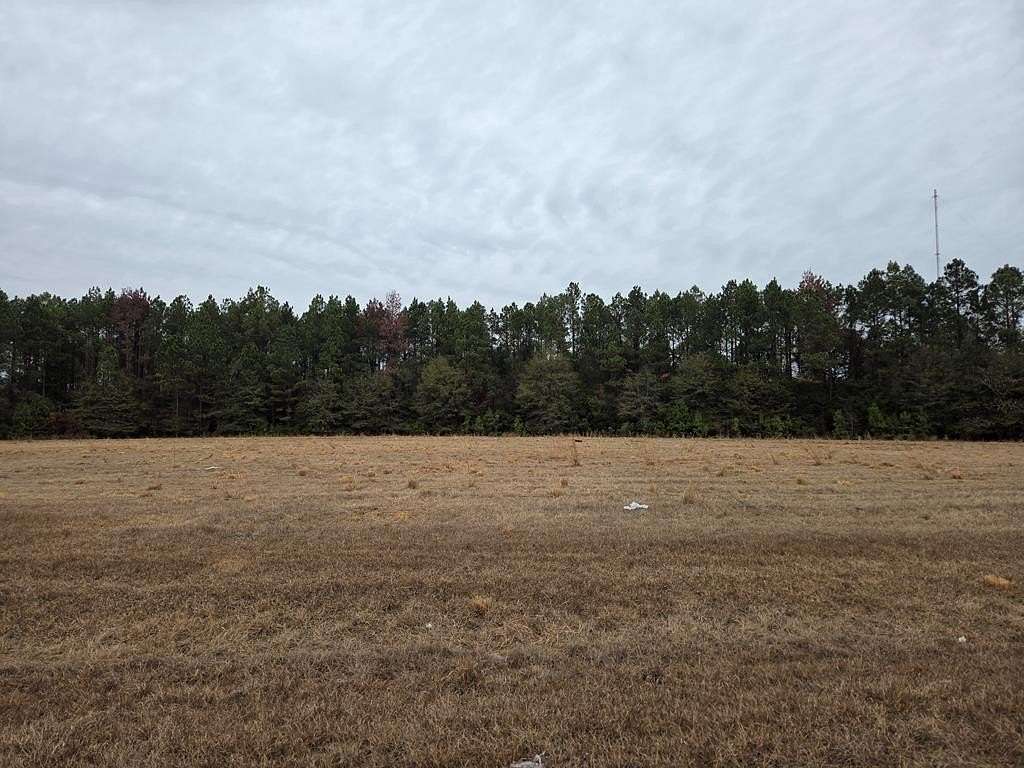 10 Acres of Residential Land for Sale in Cordele, Georgia