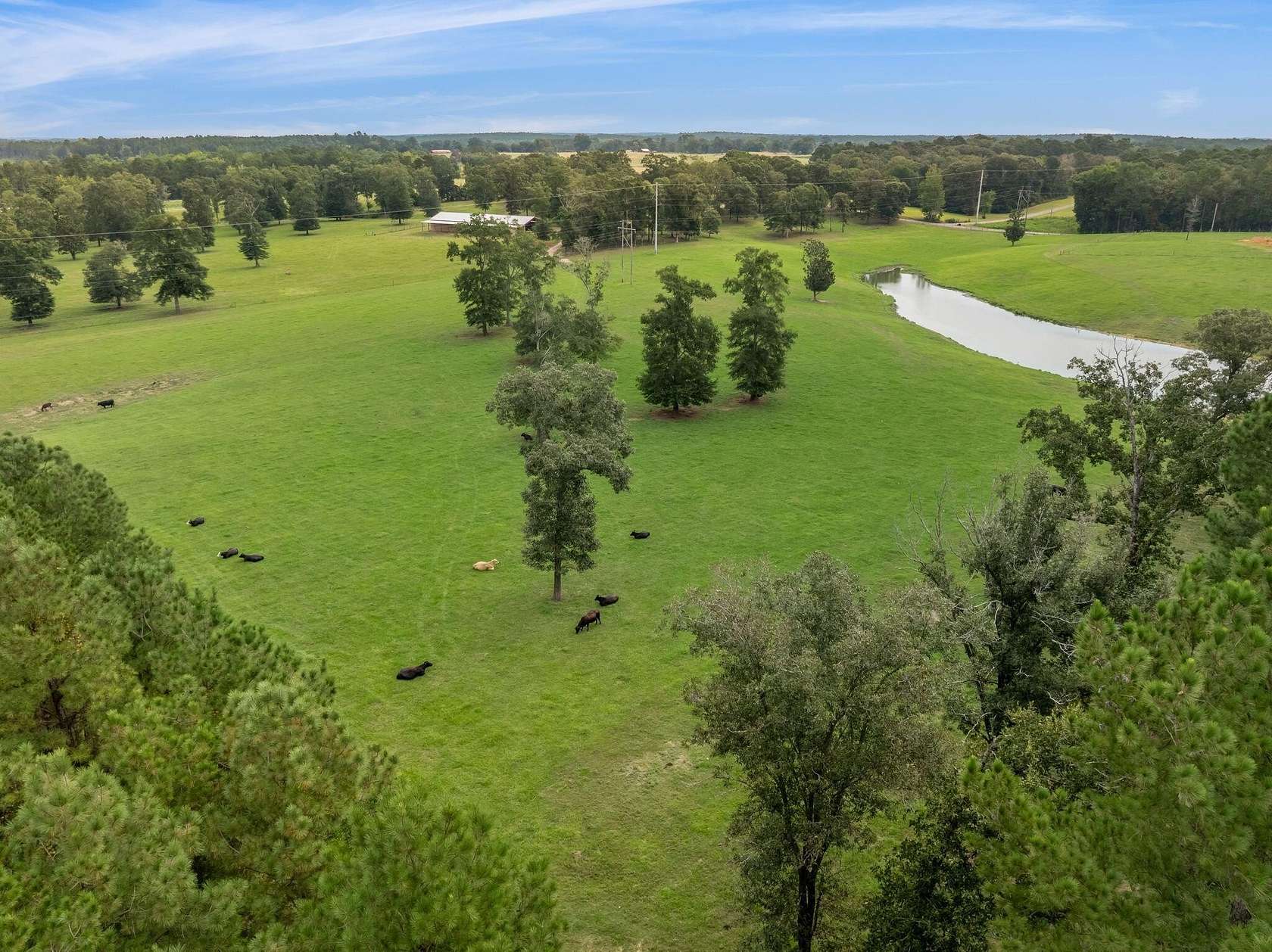 65.7 Acres of Agricultural Land for Sale in Laurel, Mississippi