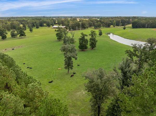 65.7 Acres of Agricultural Land for Sale in Laurel, Mississippi