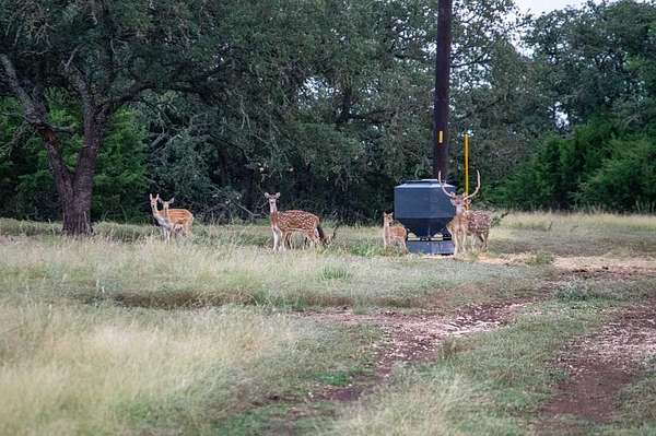 45 Acres of Improved Land for Sale in Mountain Home, Texas