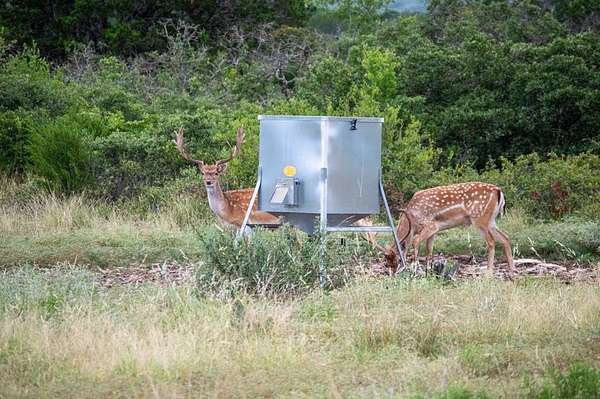 71 Acres of Improved Recreational Land for Sale in Mountain Home, Texas