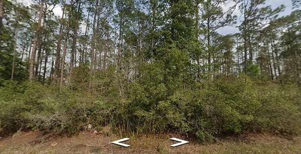 0.2 Acres of Residential Land for Sale in Interlachen, Florida