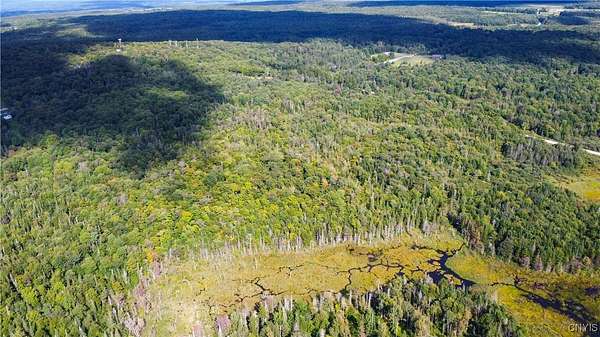26.9 Acres of Recreational Land for Sale in Turin, New York