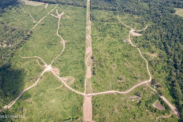 239 Acres of Recreational Land for Sale in Flora, Mississippi