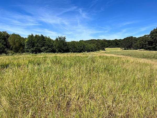 34 Acres of Recreational Land & Farm for Sale in Paris, Tennessee