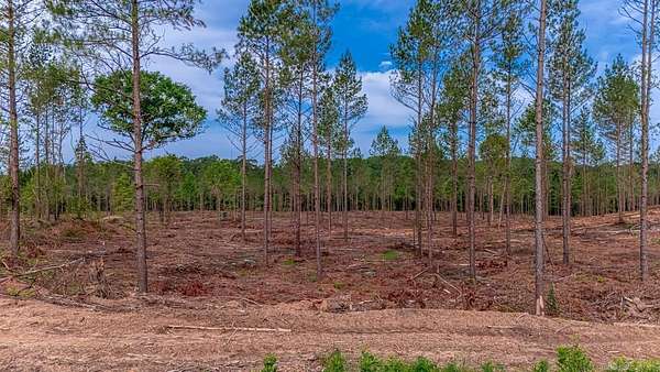 8 Acres of Residential Land for Sale in Hensley, Arkansas