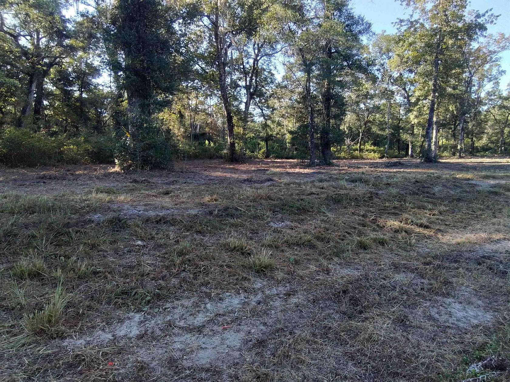 11.9 Acres of Land for Sale in Crawfordville, Florida