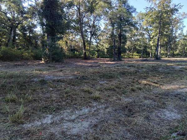 11.9 Acres of Land for Sale in Crawfordville, Florida