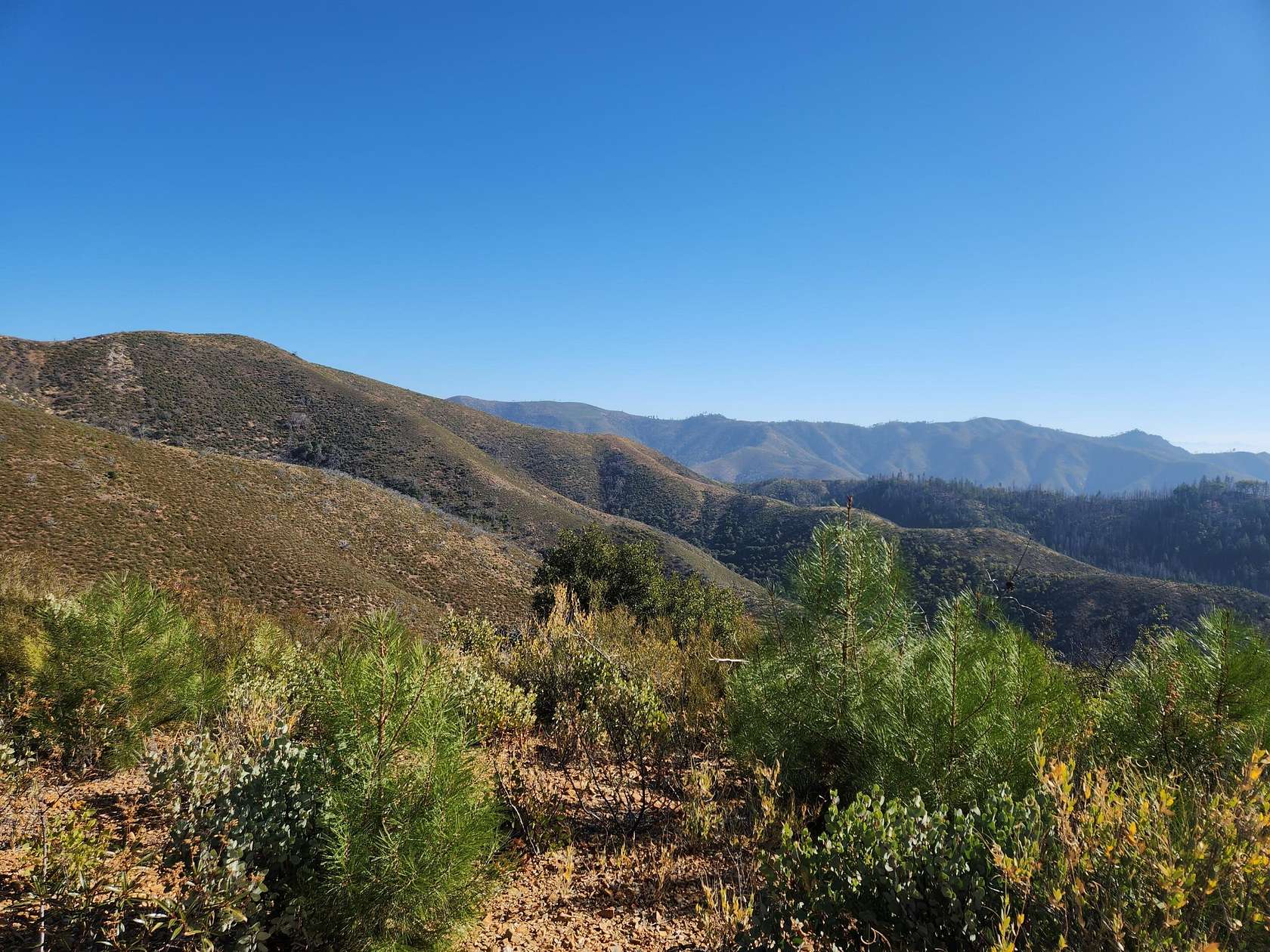 50 Acres of Recreational Land for Sale in French Gulch, California