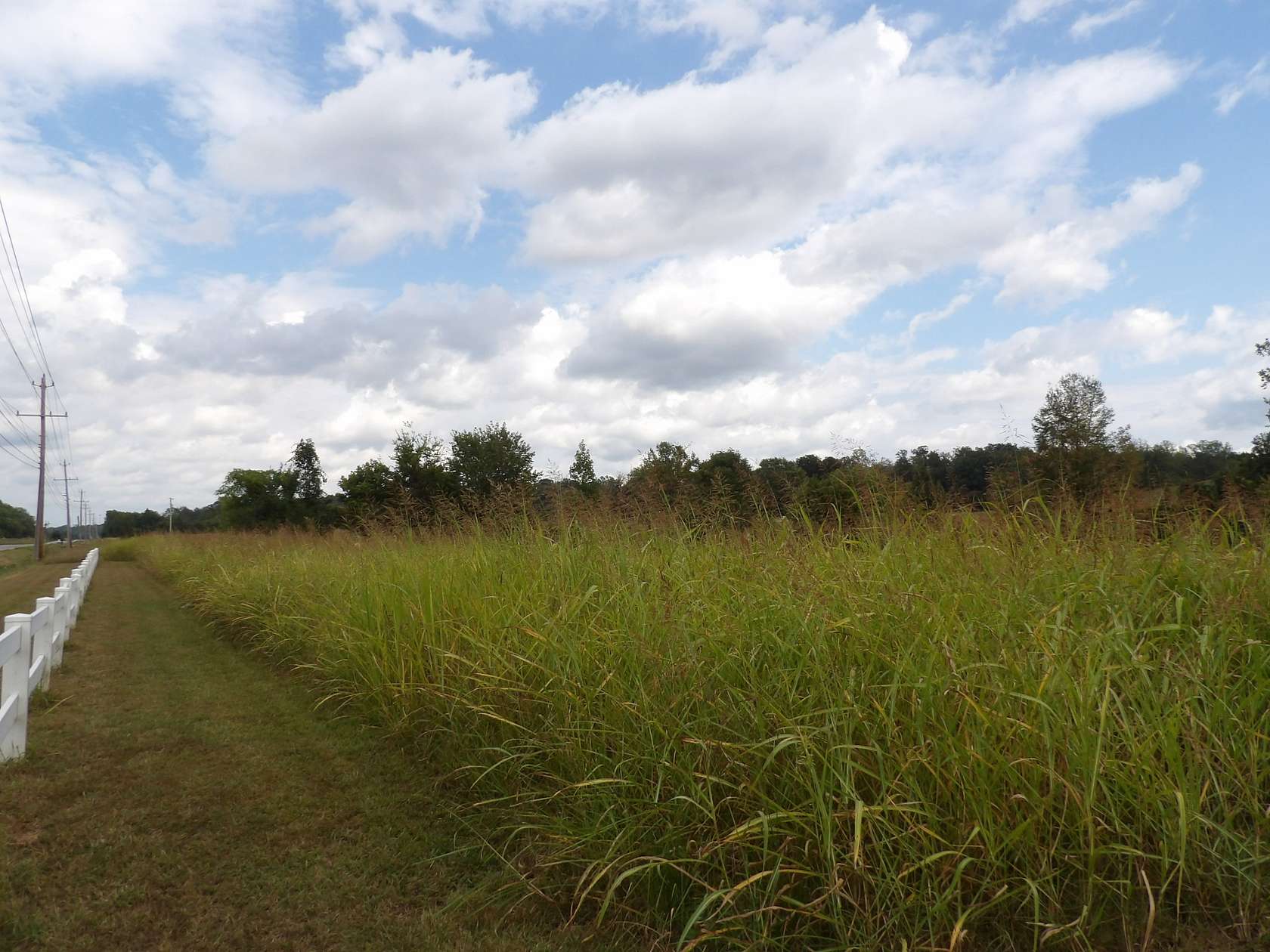 19 Acres of Land for Sale in Waverly, Tennessee