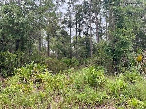 1.15 Acres of Residential Land for Sale in Crystal River, Florida