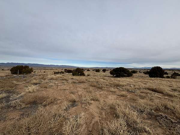 22 Acres of Land for Sale in Algodones, New Mexico