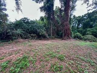 0.3 Acres of Residential Land for Sale in Coosada, Alabama