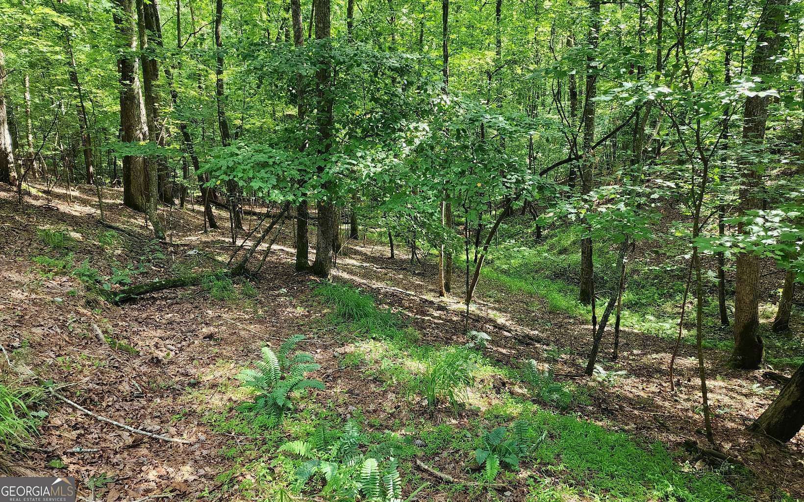 0.63 Acres of Land for Sale in Ellijay, Georgia