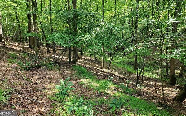 0.63 Acres of Land for Sale in Ellijay, Georgia
