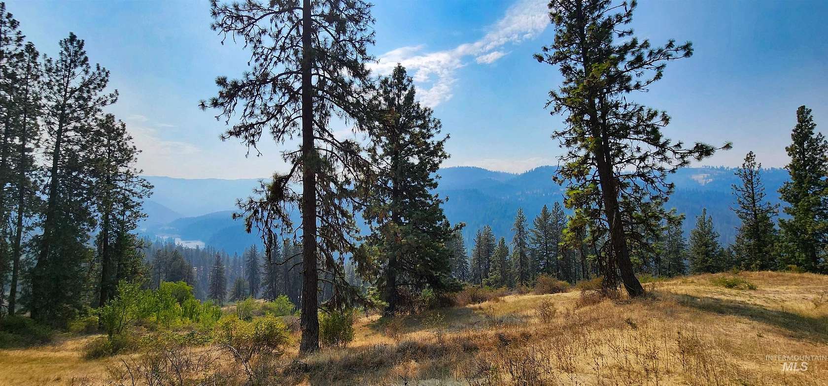 40.2 Acres of Recreational & Residential Land for Sale in Kooskia, Idaho