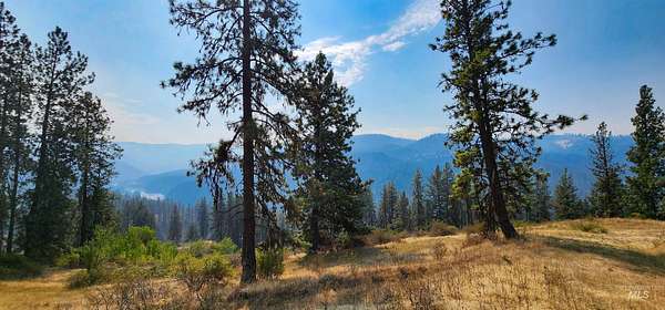 40.2 Acres of Recreational Land for Sale in Kooskia, Idaho