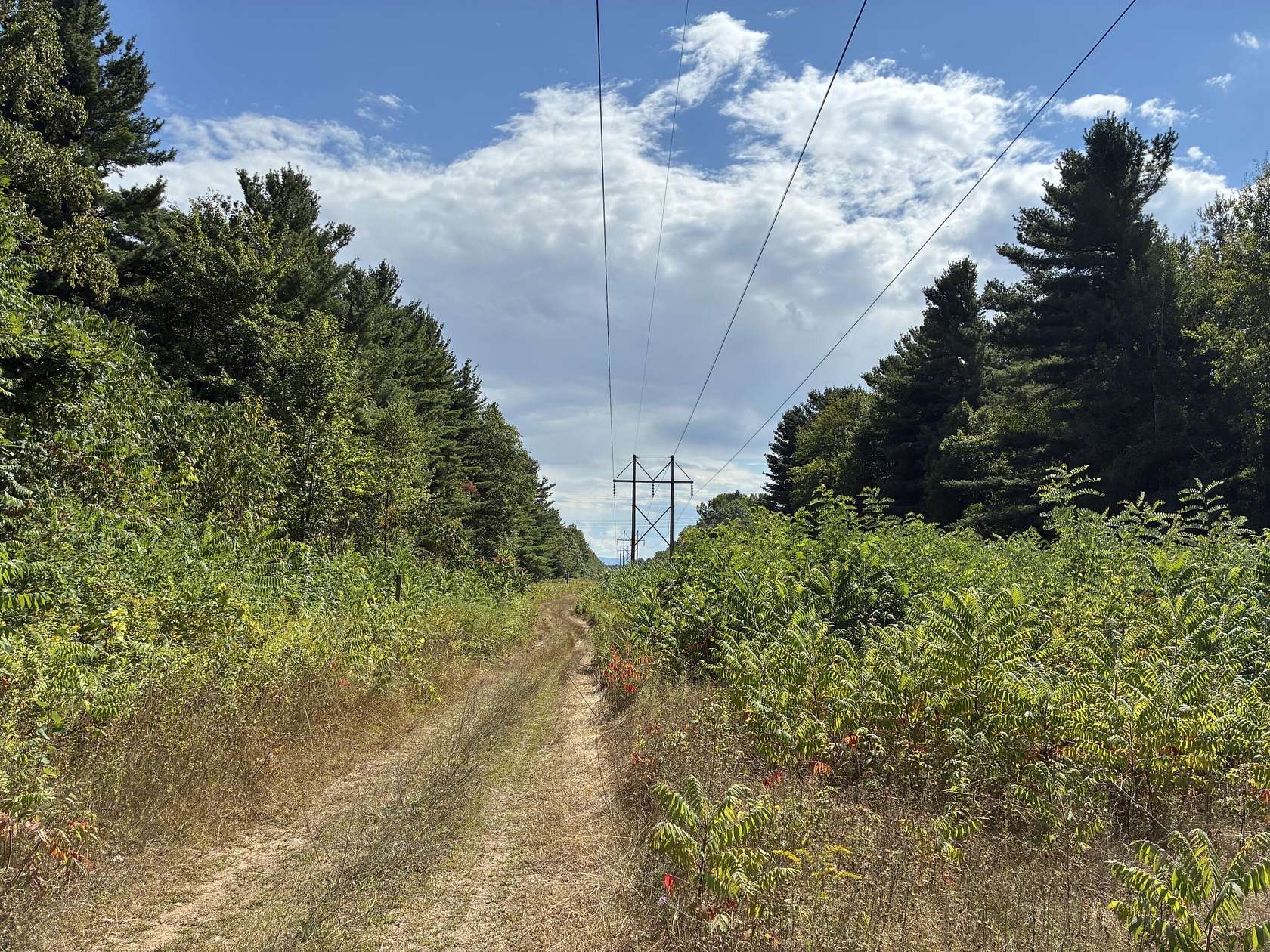 60.3 Acres of Agricultural Land for Sale in West Chazy, New York