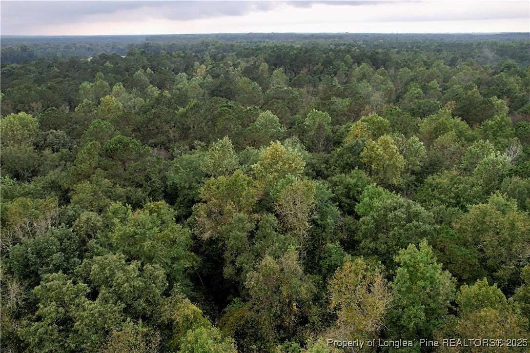 6.62 Acres of Residential Land for Sale in Clarkton, North Carolina