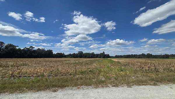 11.8 Acres of Land for Sale in Kelly, North Carolina