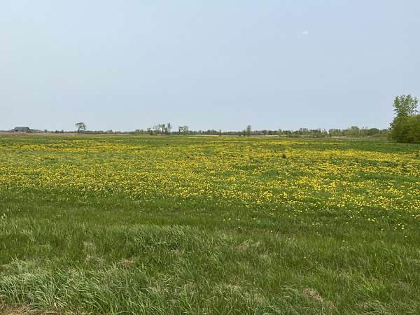 18.5 Acres of Agricultural Land for Sale in Pulaski, Wisconsin