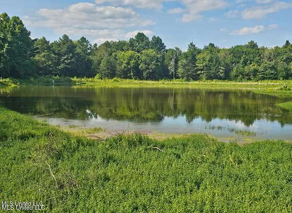 2.4 Acres of Residential Land with Home for Sale in Byhalia, Mississippi