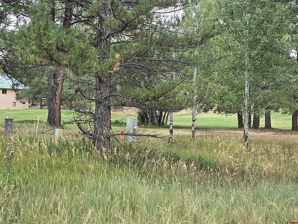 0.21 Acres of Residential Land for Sale in Pagosa Springs, Colorado