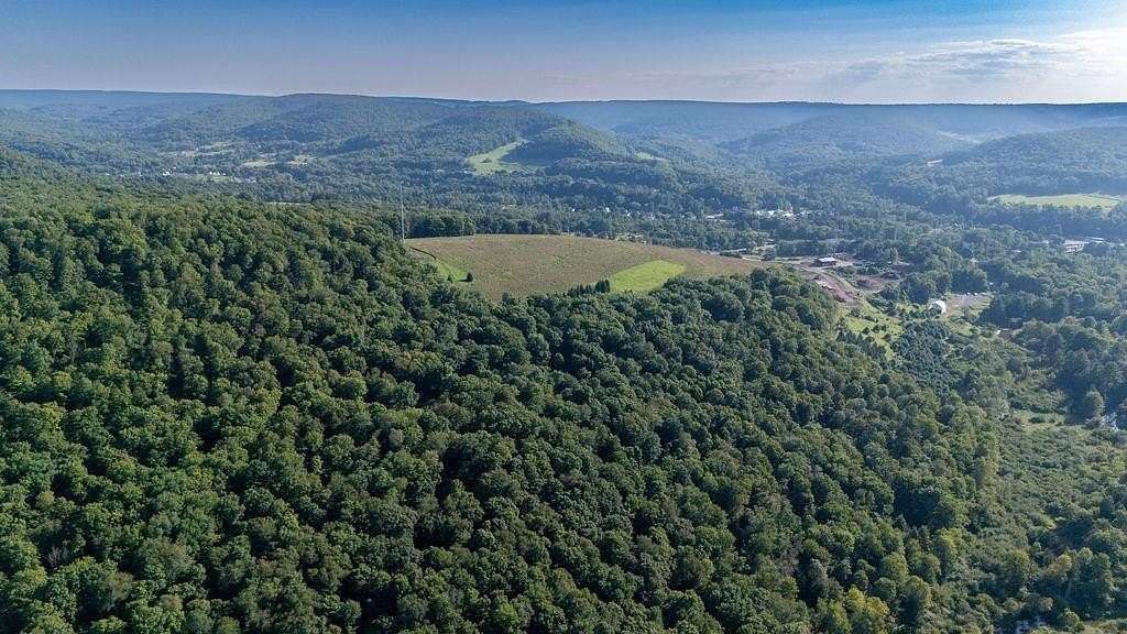 152 Acres of Recreational Land for Sale in Genesee, Pennsylvania