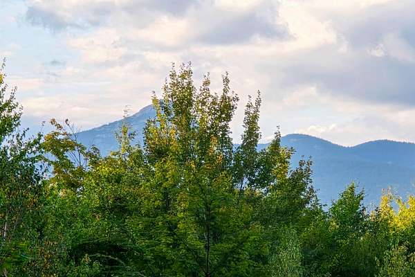 2 Acres of Mixed-Use Land for Sale in Tamworth, New Hampshire