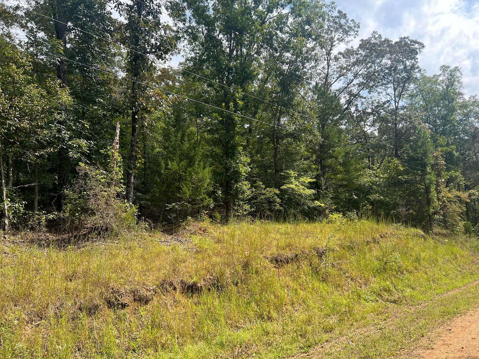 7 Acres of Land for Sale in Guin, Alabama