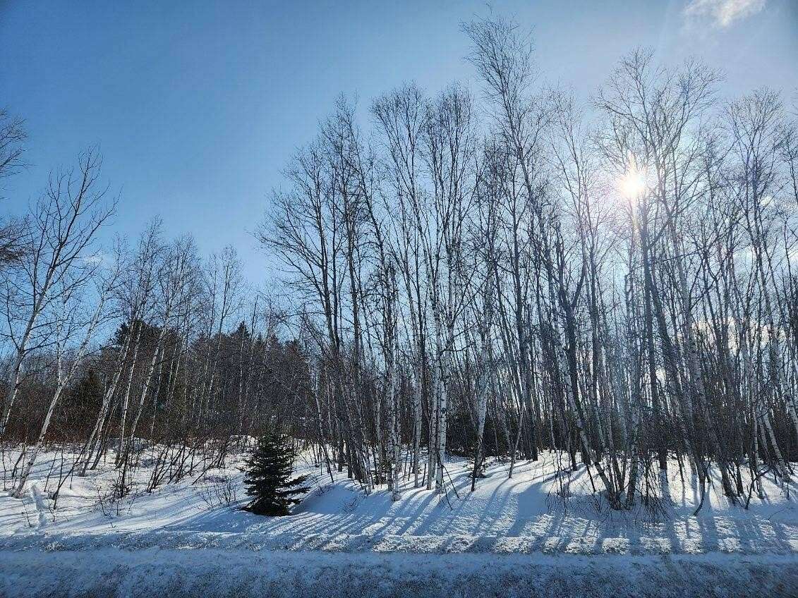 4.75 Acres of Residential Land for Sale in Madawaska, Maine