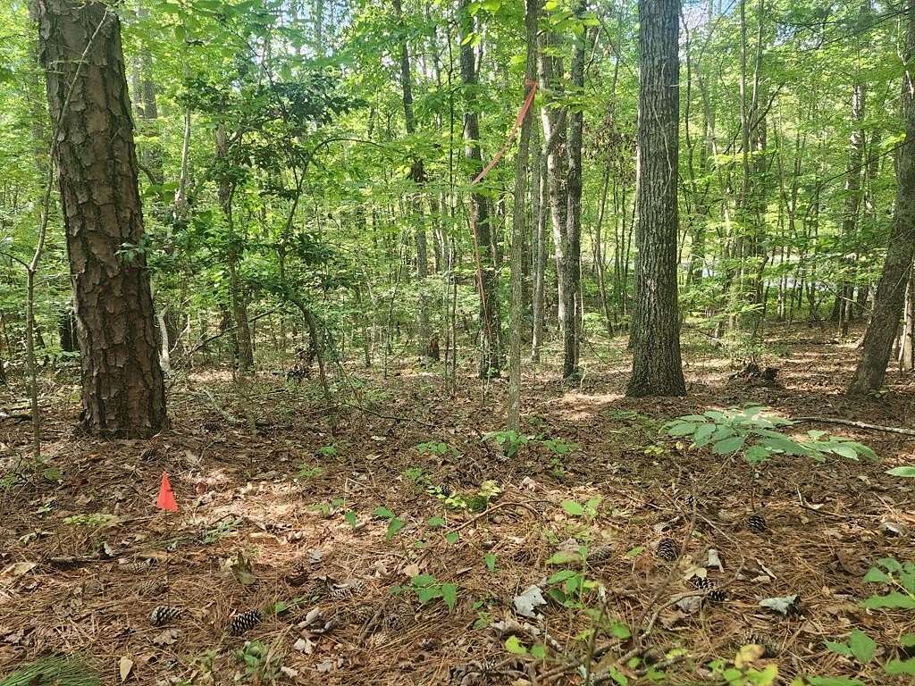 1.1 Acres of Residential Land for Sale in Ellijay, Georgia