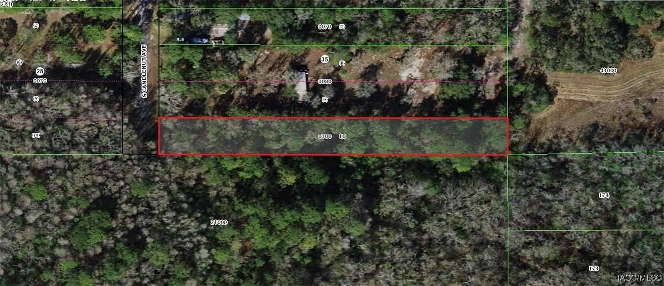 0.96 Acres of Residential Land for Sale in Homosassa, Florida