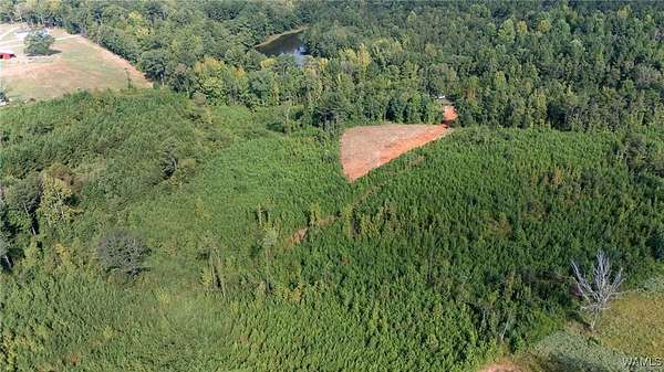 11 Acres of Recreational Land for Sale in Greensboro, Alabama