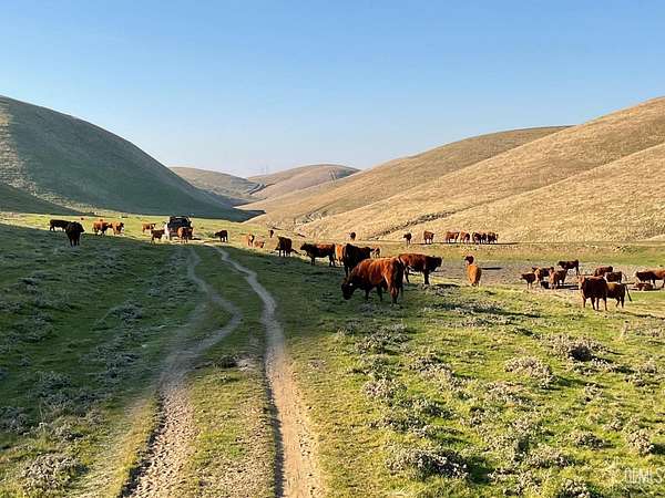 602 Acres of Agricultural Land for Sale in Woody, California