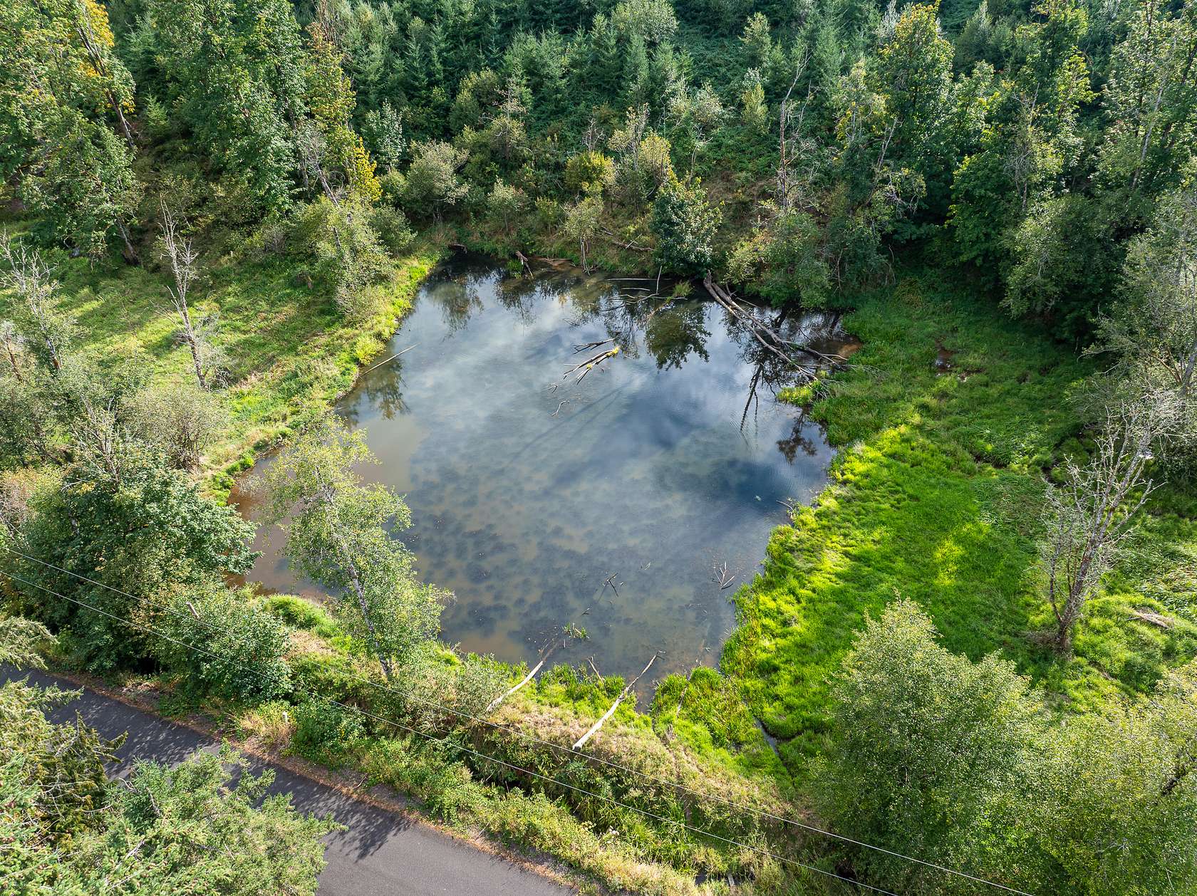 65.7 Acres of Recreational Land for Sale in Acme, Oregon