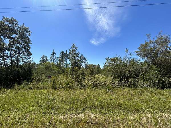 20 Acres of Recreational Land for Sale in Fountain, Florida