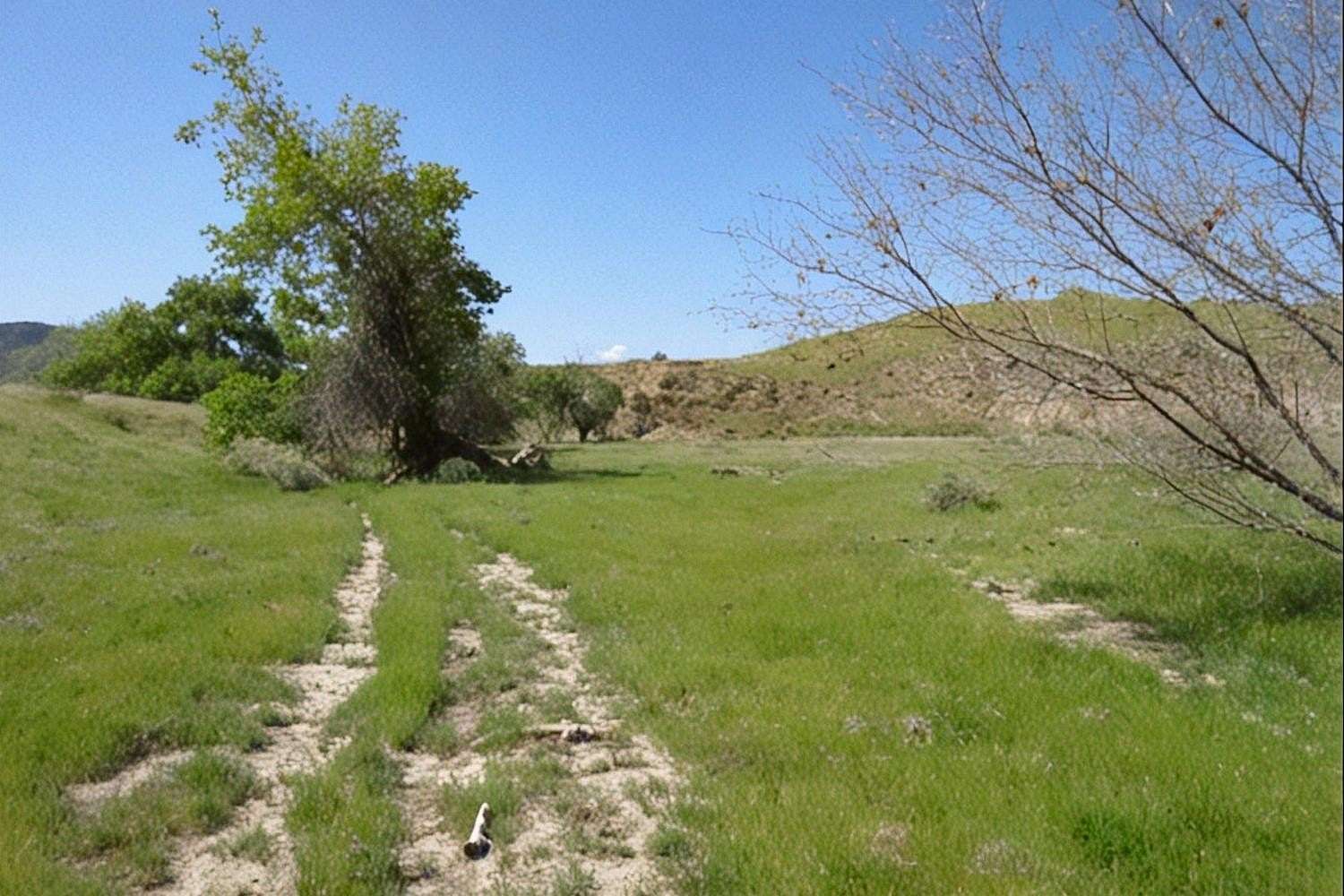 1,655 Acres of Recreational Land & Farm for Sale in Coalinga, California