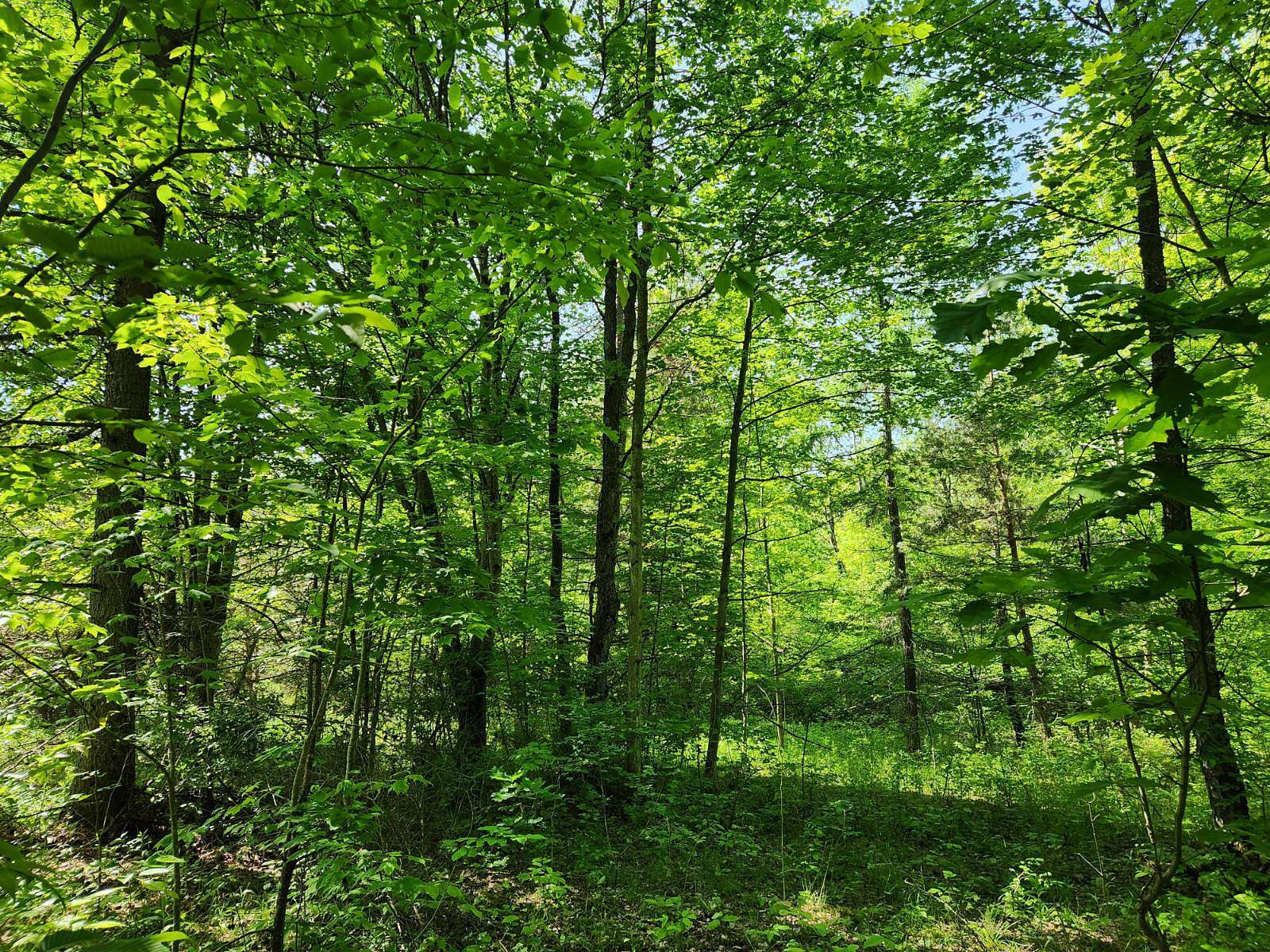 10.4 Acres of Recreational Land for Sale in Erin, New York