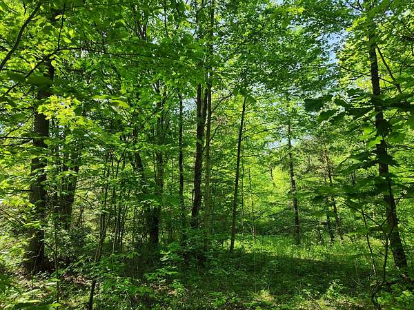 10.4 Acres of Recreational Land for Sale in Erin, New York