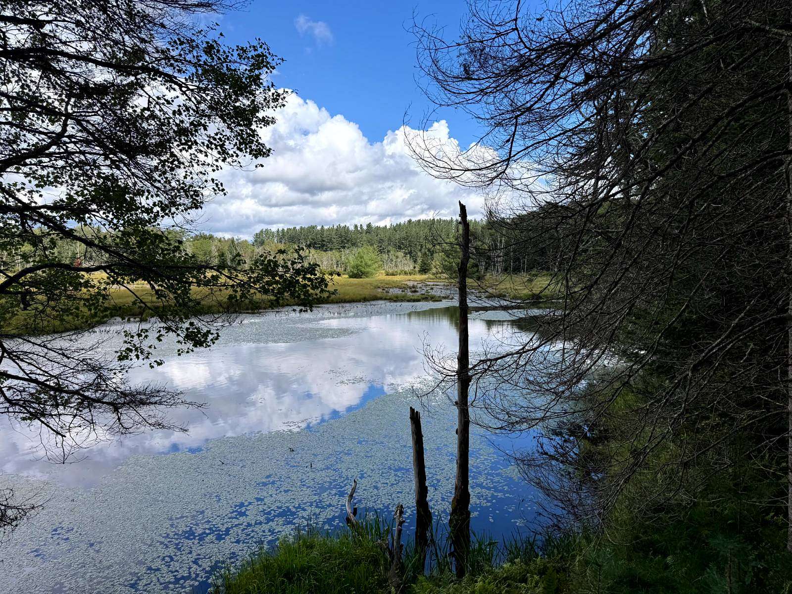 16 Acres of Land for Sale in Ohio, New York