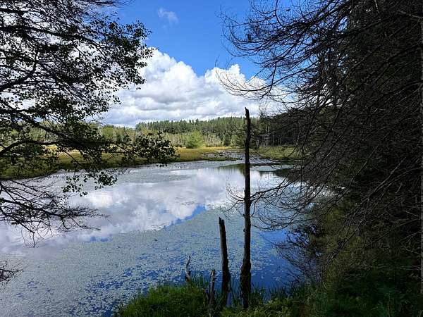 16 Acres of Land for Sale in Ohio, New York