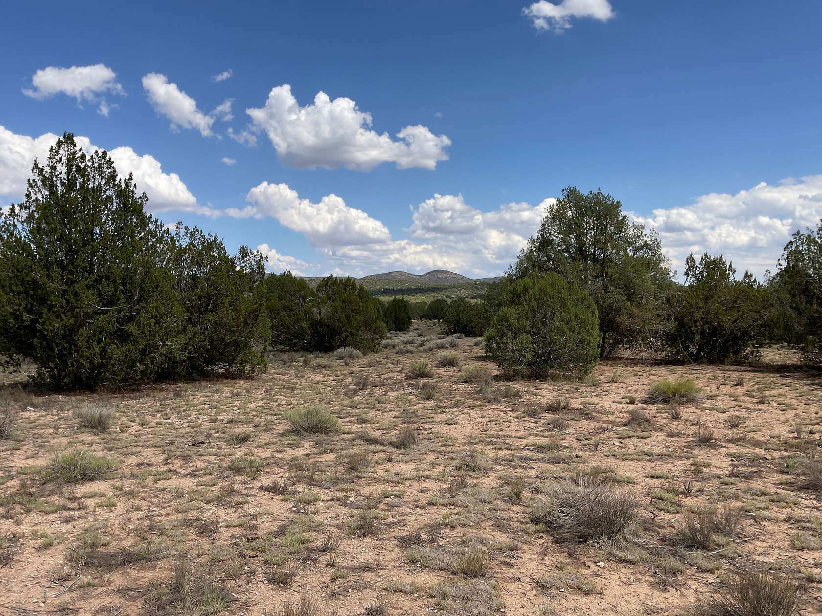 36.3 Acres of Recreational Land & Farm for Sale in Seligman, Arizona
